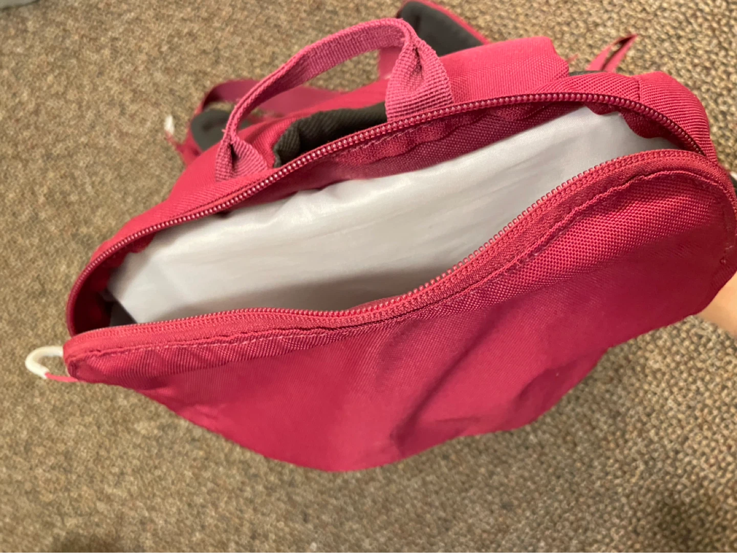Day Hike 20L Backpack - photo 5