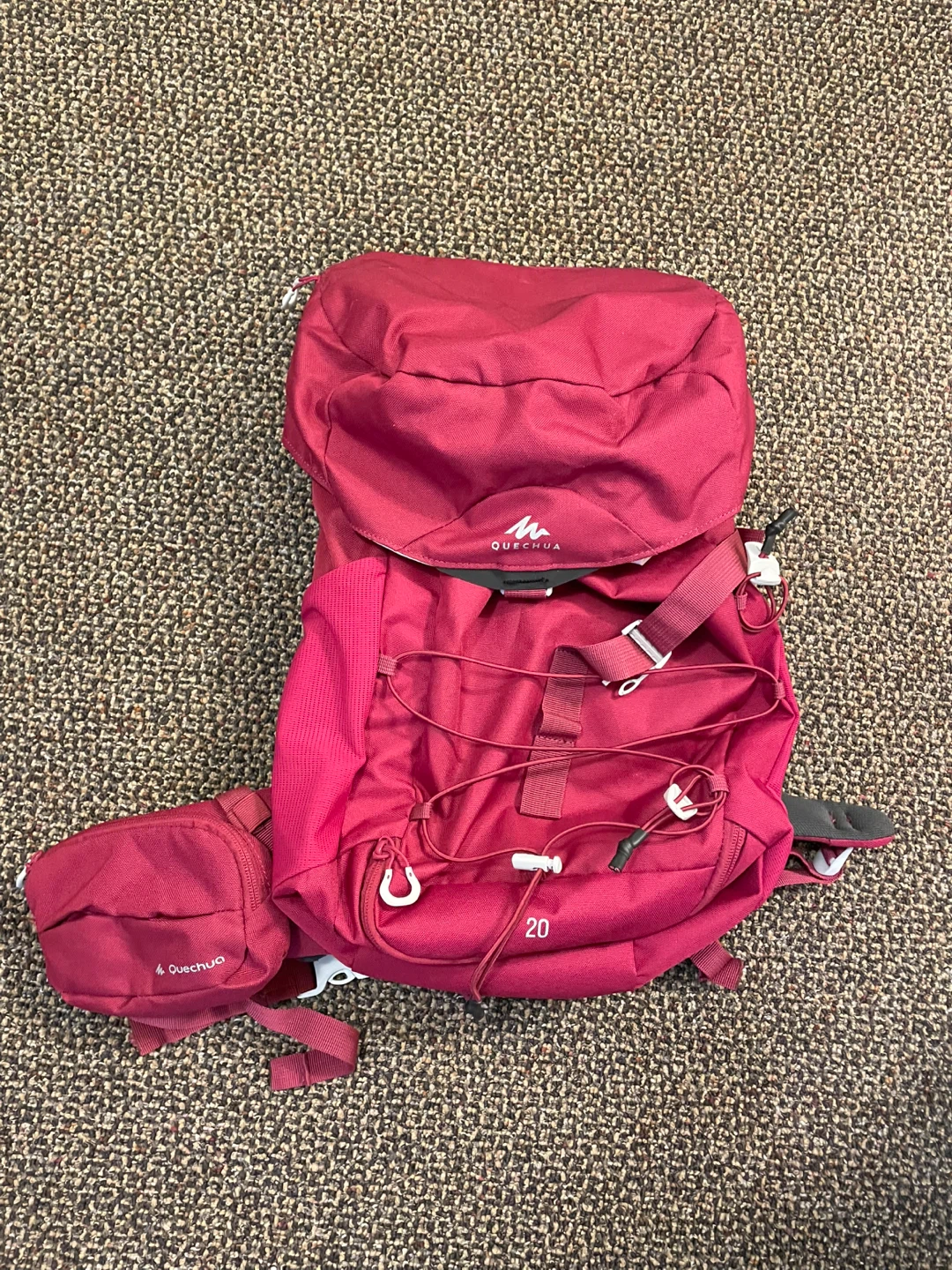 Day Hike 20L Backpack