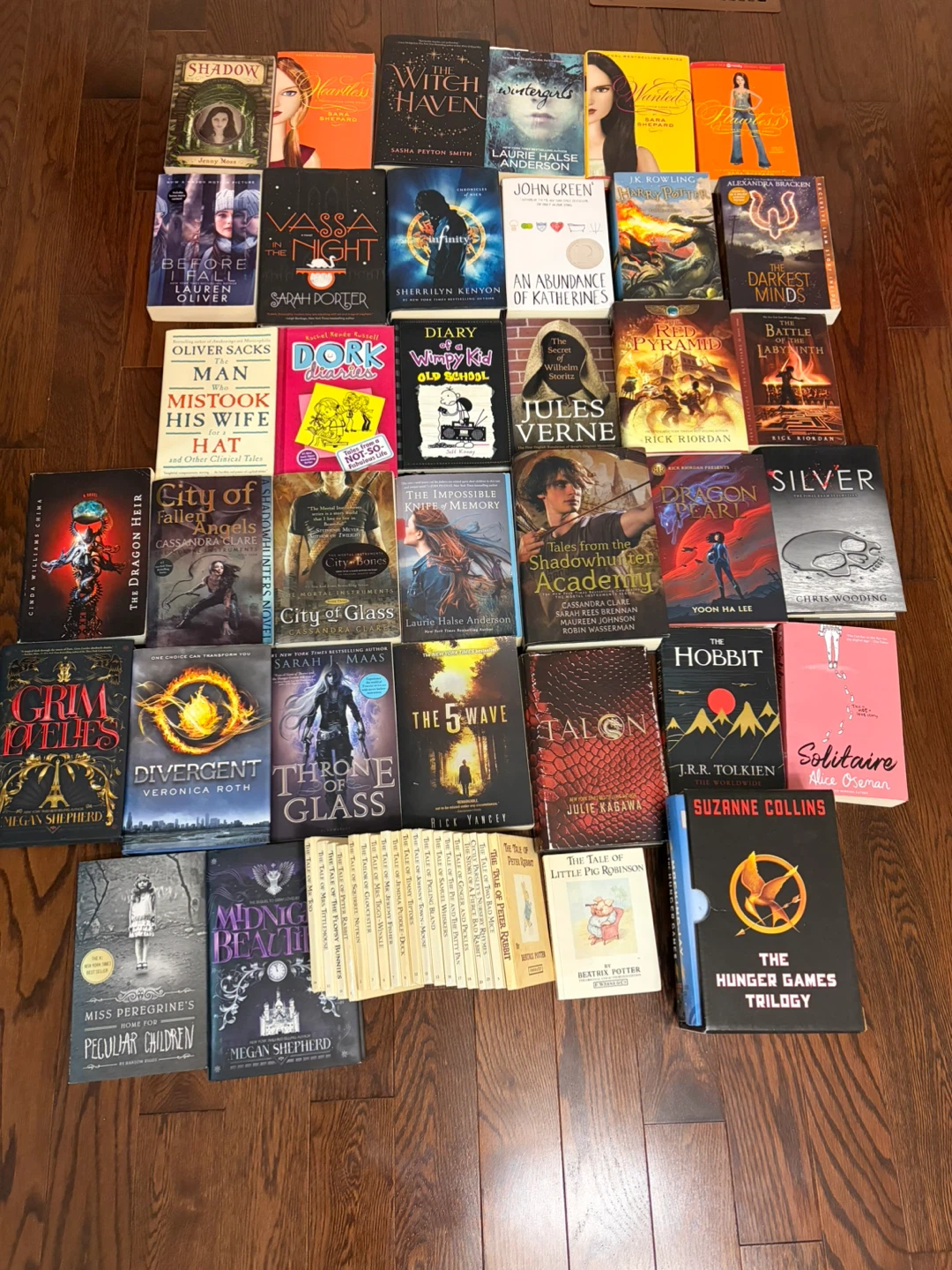 Assorted Young Adult & Fantasy Book Collection