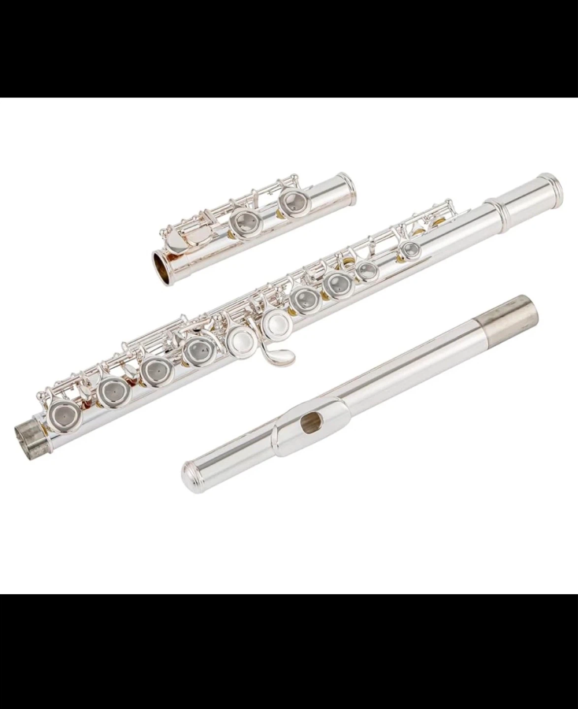 Silver Flute with Case AUROSUS