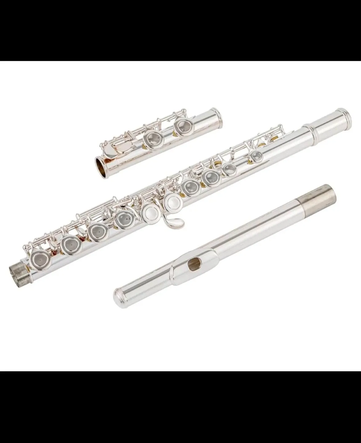 Silver Flute with Case AUROSUS