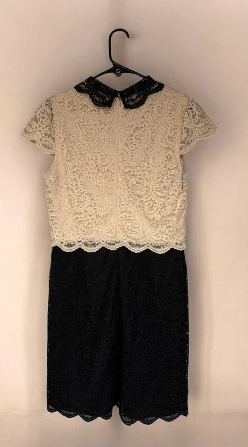 Women Lace Collar Dress - photo 2