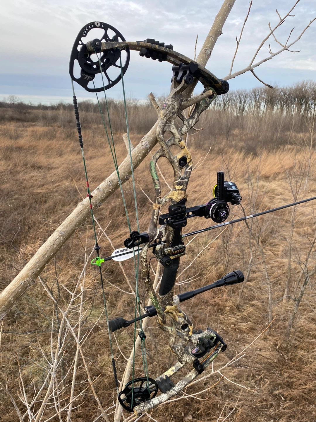 Hoyt RX-5 Compound Bow