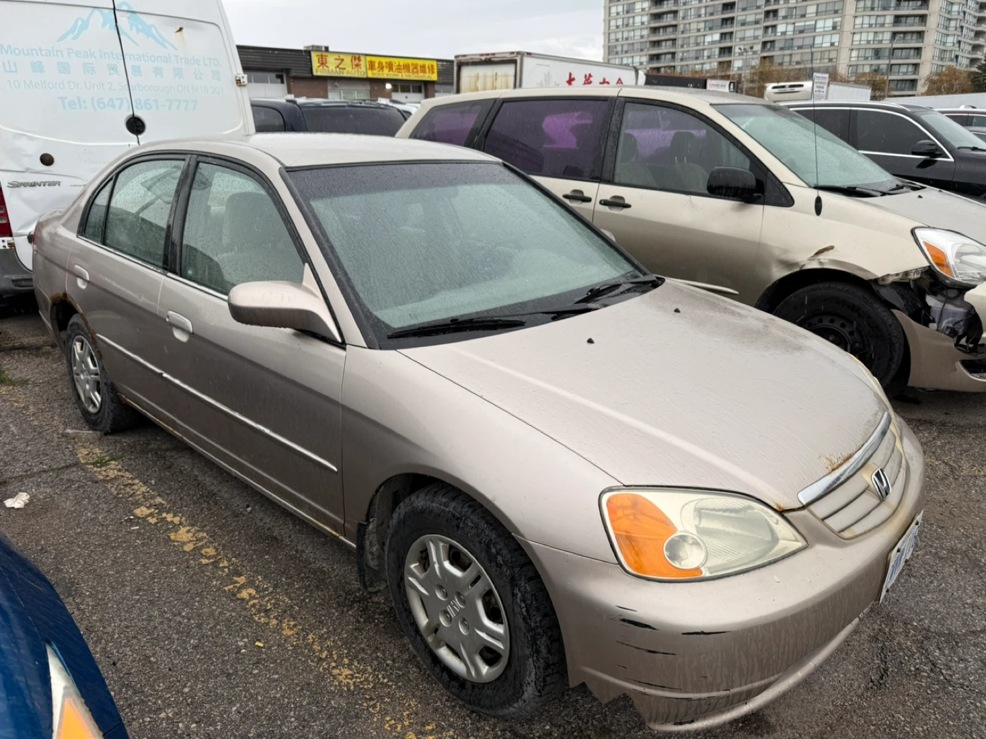 2004 Gold Honda Civic Sedan