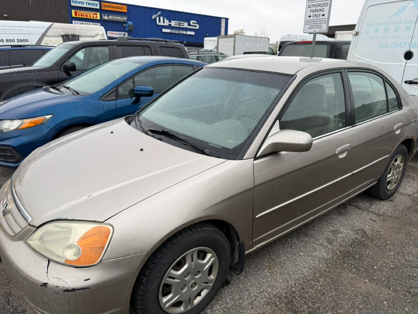 2004 Gold Honda Civic Sedan - photo 2