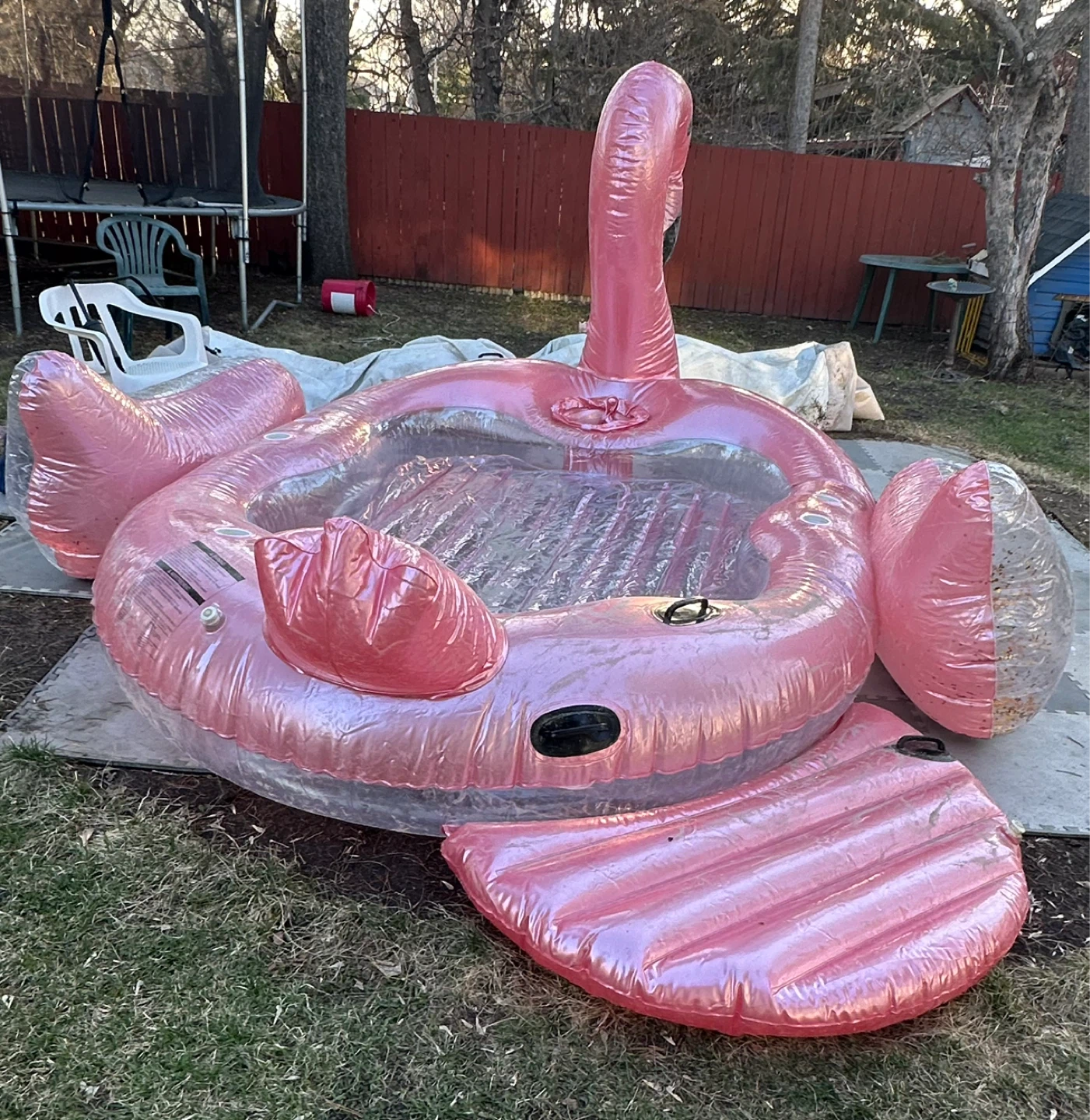 5 person party barge - photo 2
