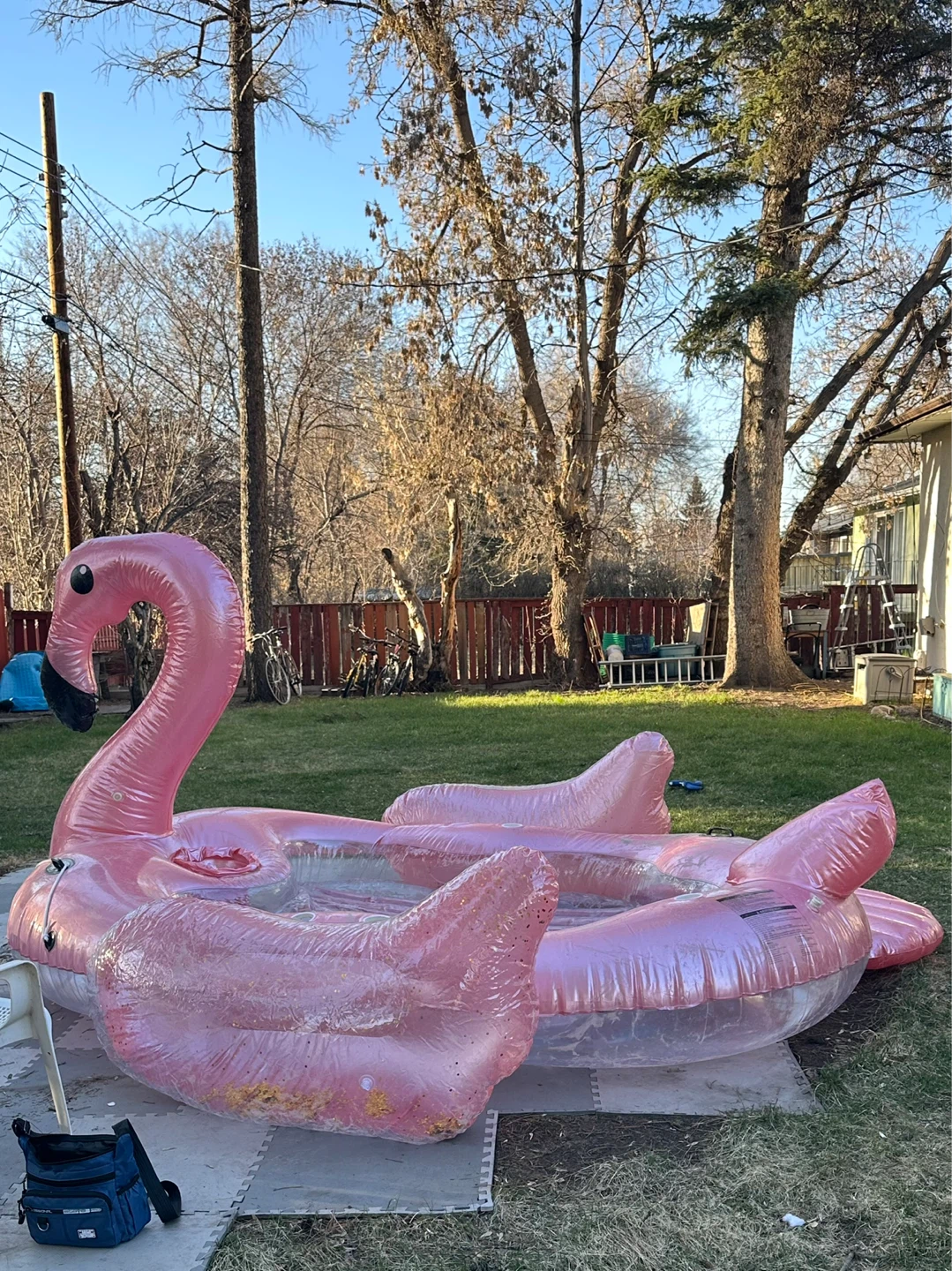 5 person party barge