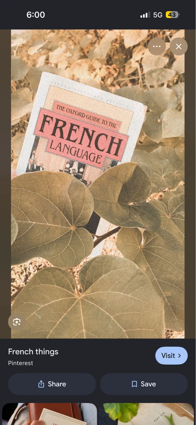 Free French A1 class