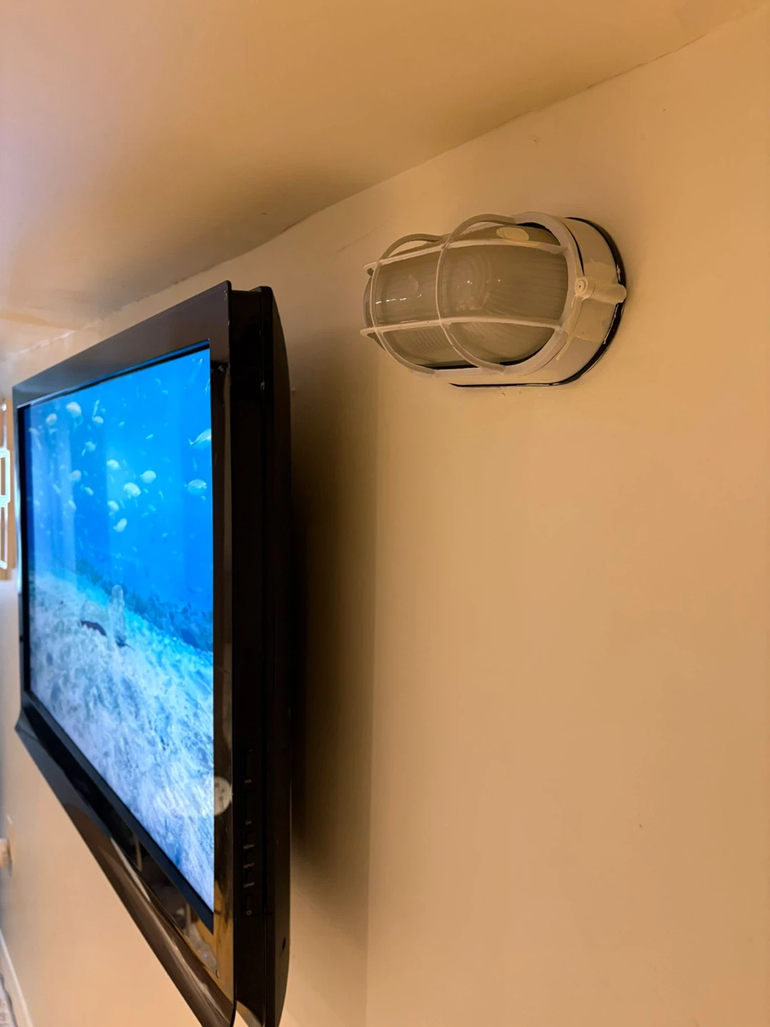 Insignia TV - photo 3