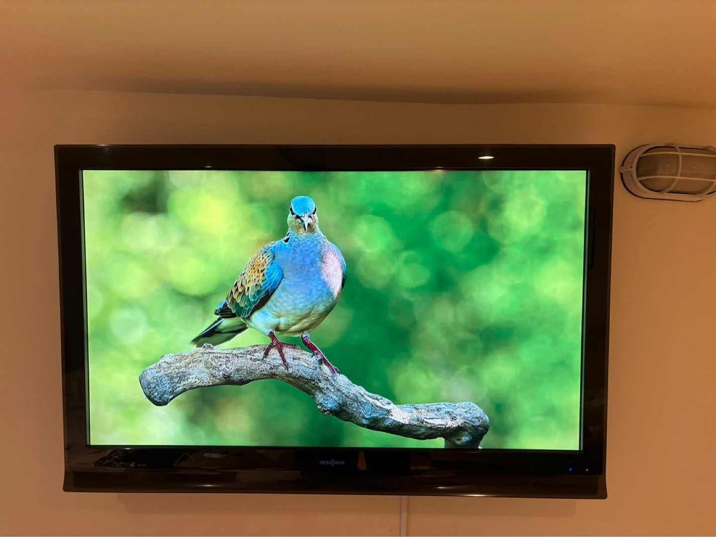Insignia TV