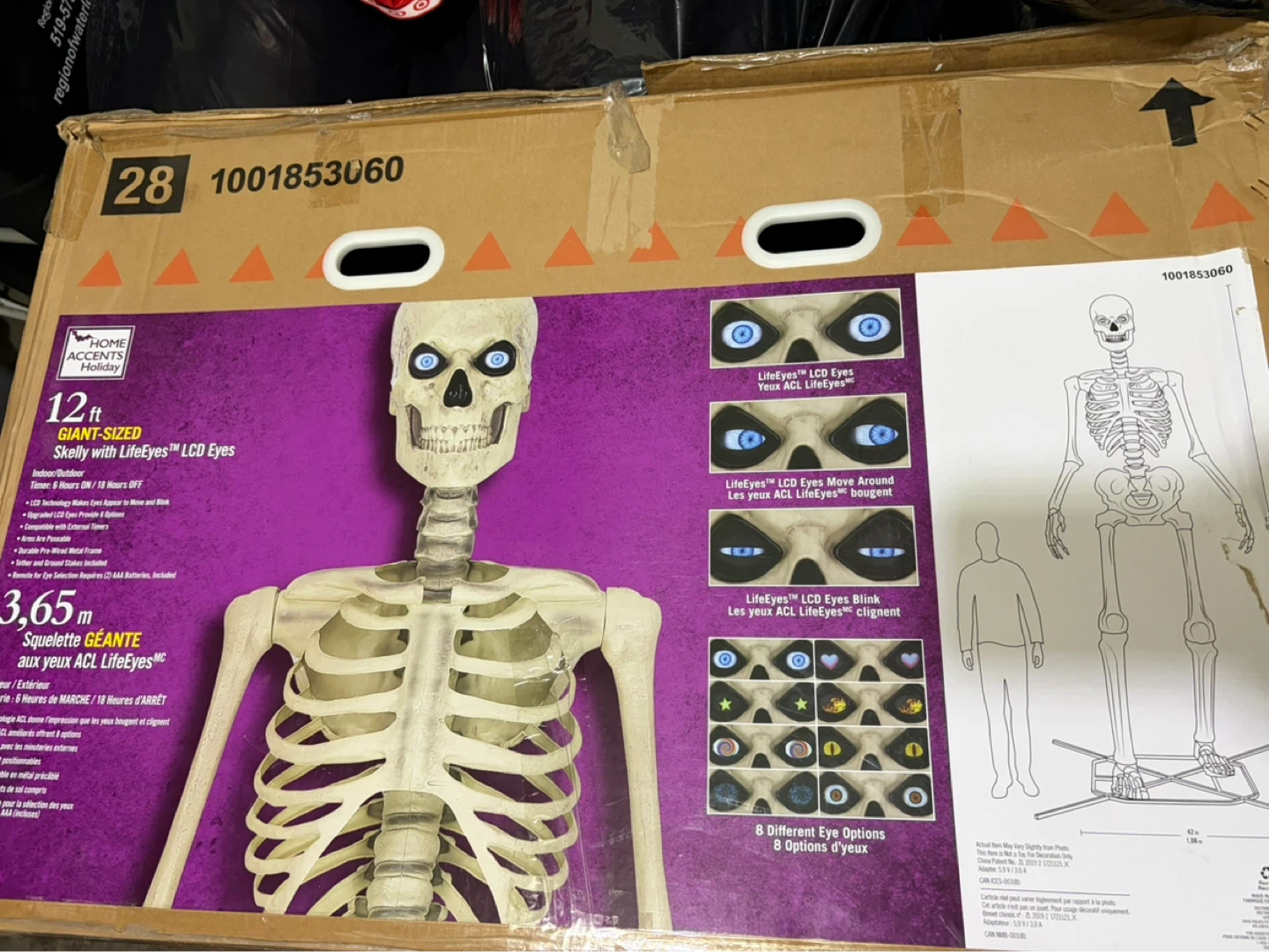 12 ft Giant Skeleton with LifeEyes LCD Eyes