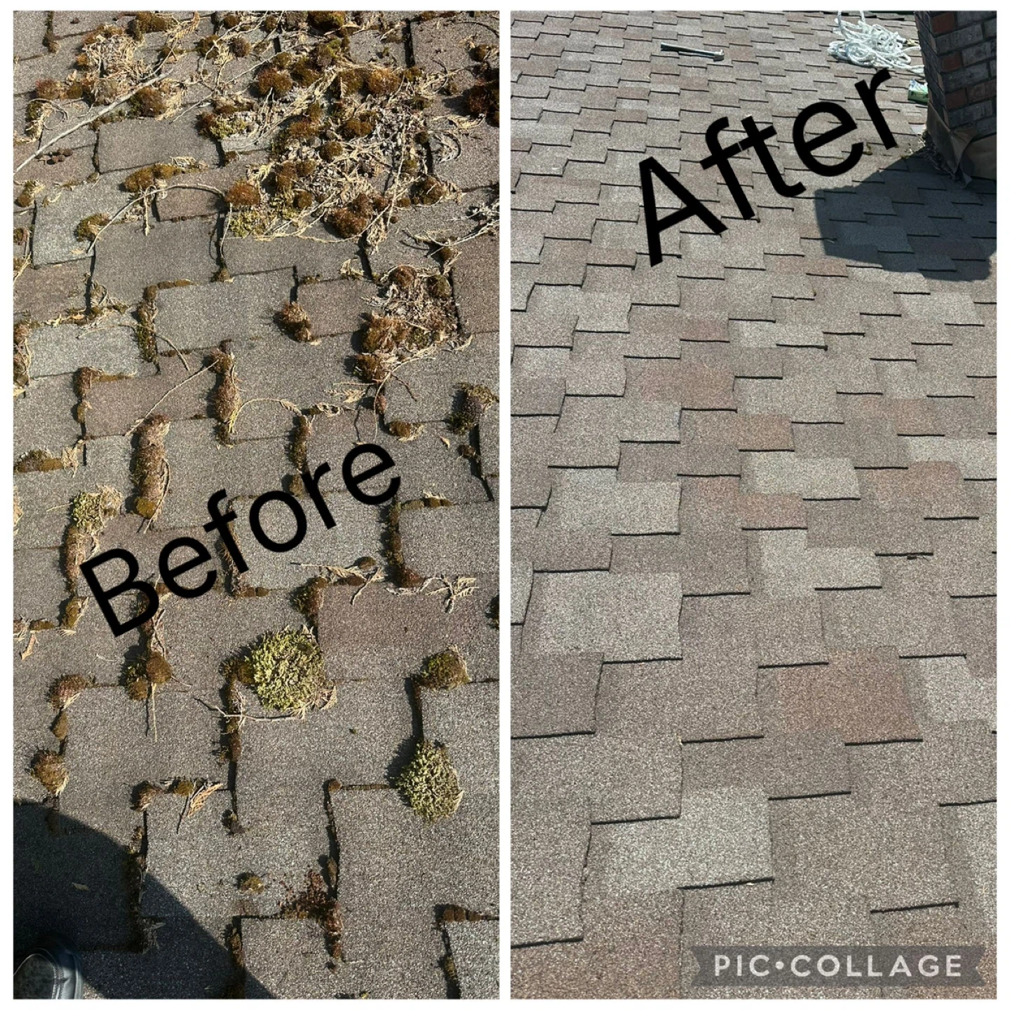 Power Washing and Roof Cleaning Service