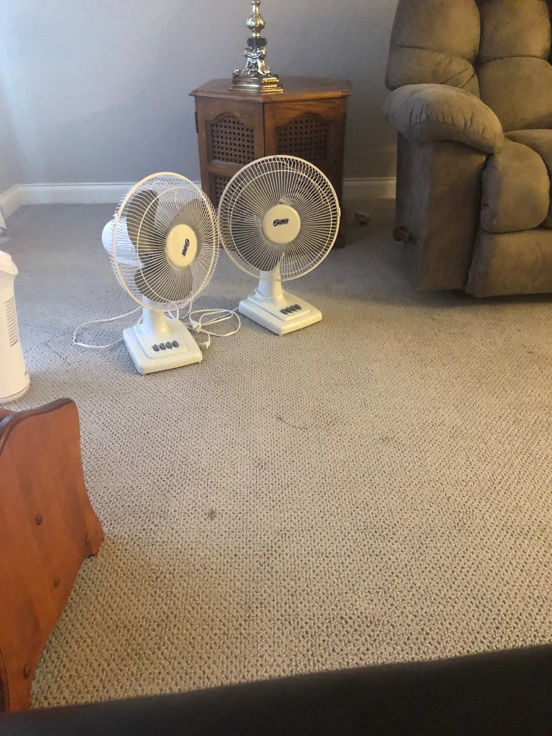 Pair of White Super Brand Desk Fans
