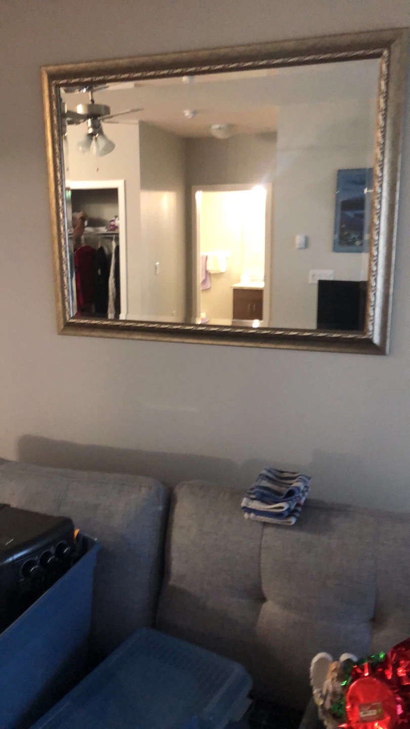 Ornate Gold Framed Mirror
