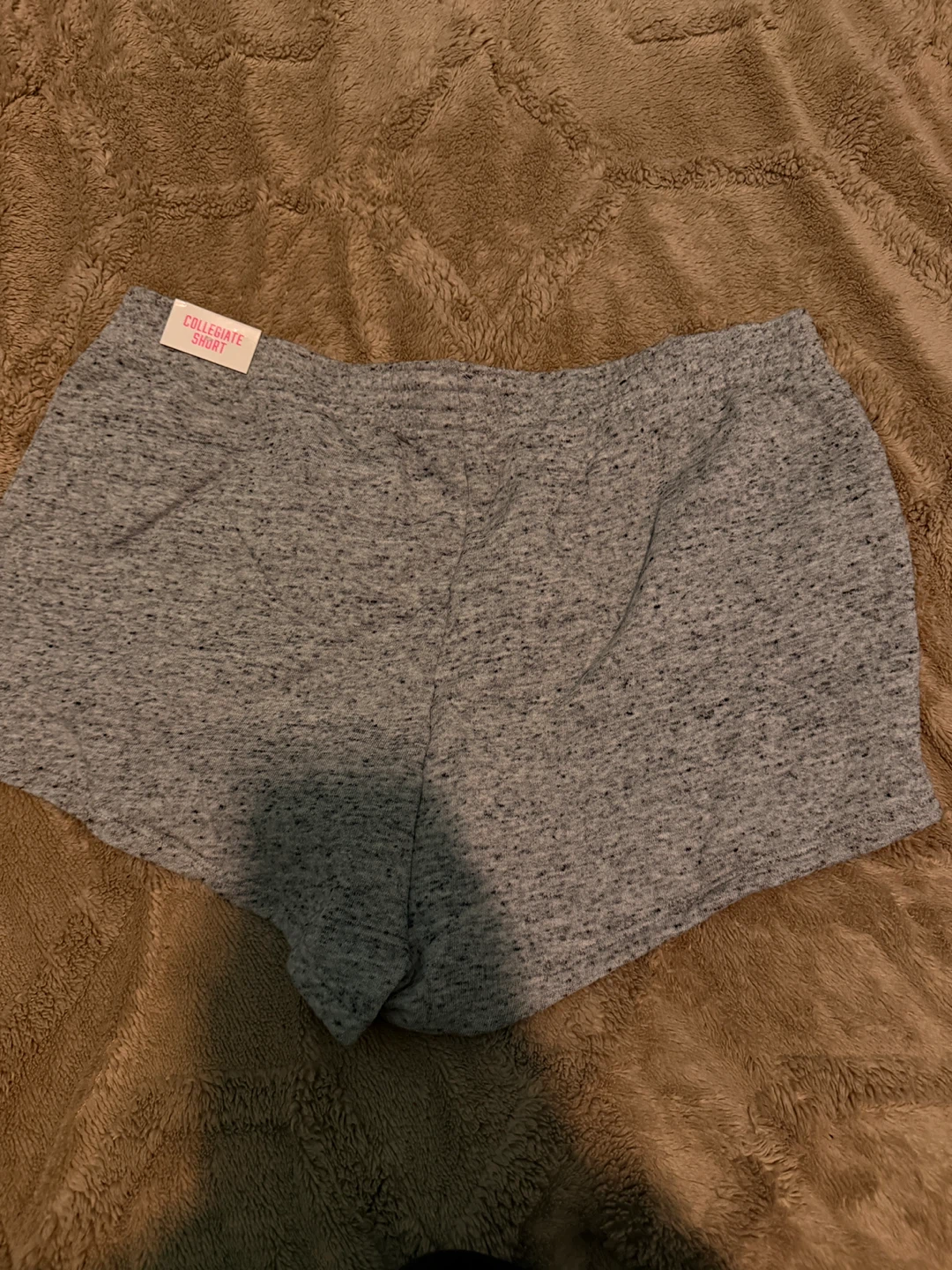 PINK Victoria's Secret "Collegiate Short" Sweat Shorts  - Size M - photo 3