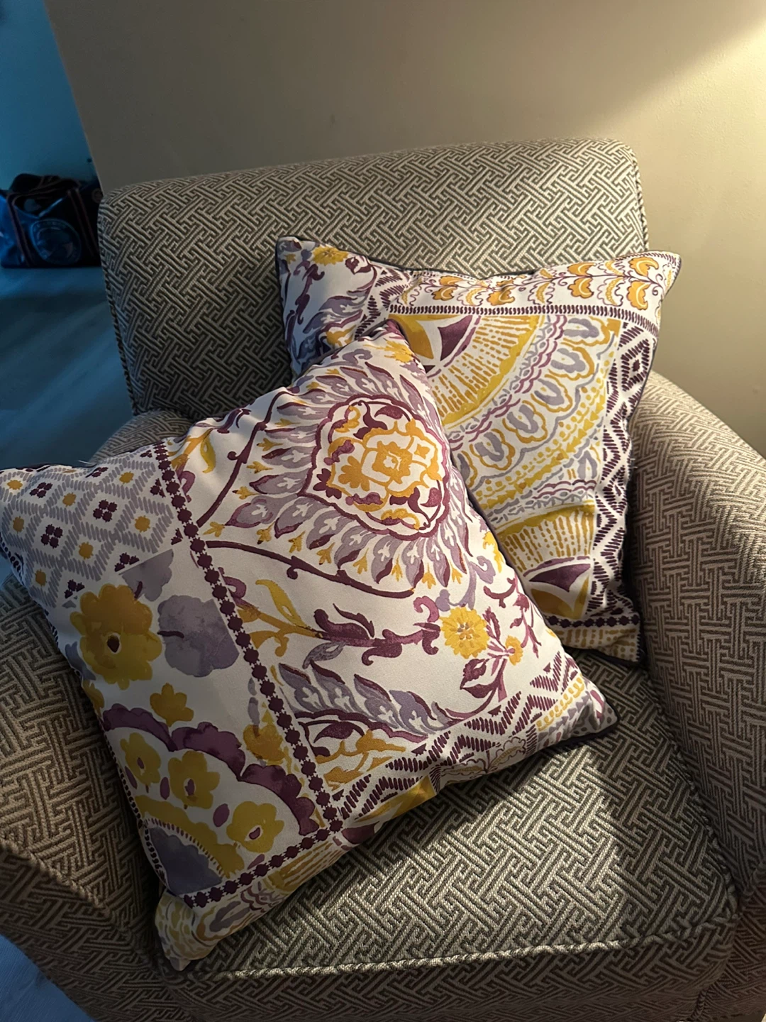 Decorative Throw Pillows (Set of 2)