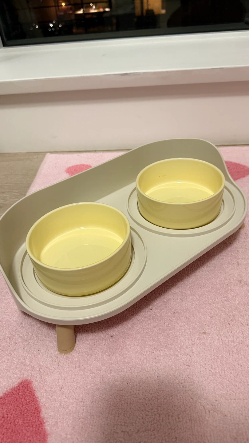 Elevated Pet Food and Water Bowl Set
