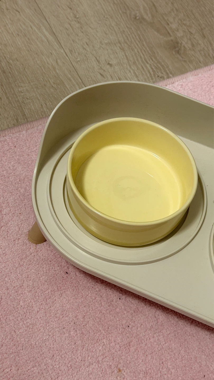 Elevated Pet Food and Water Bowl Set - photo 2