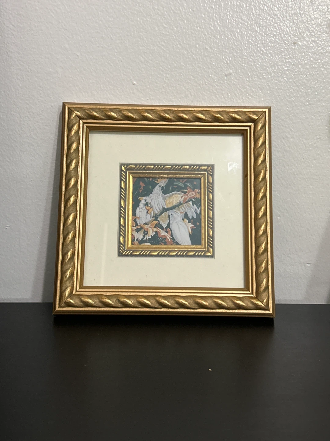 Framed Miniature Painting of Birds