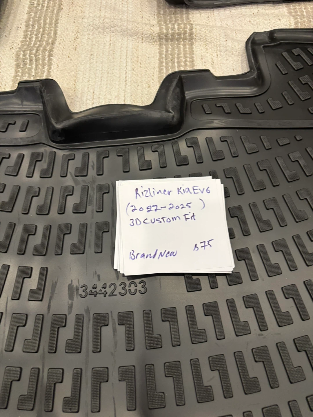 Rizliner 3D Custom Fit Floor Mats for Kia EV6 (2022-2025)