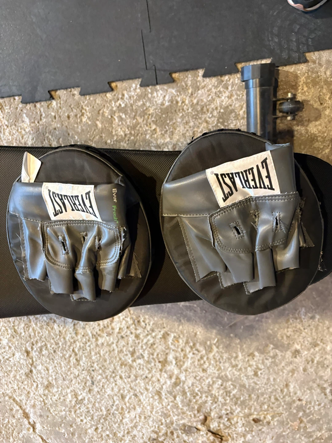 Everlast Punch Mitts