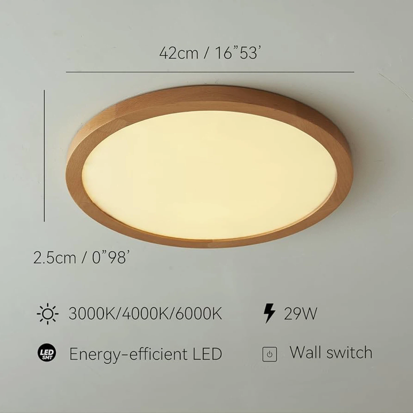 LORYLAB Ultra Thin Ceiling Light 24” - photo 2
