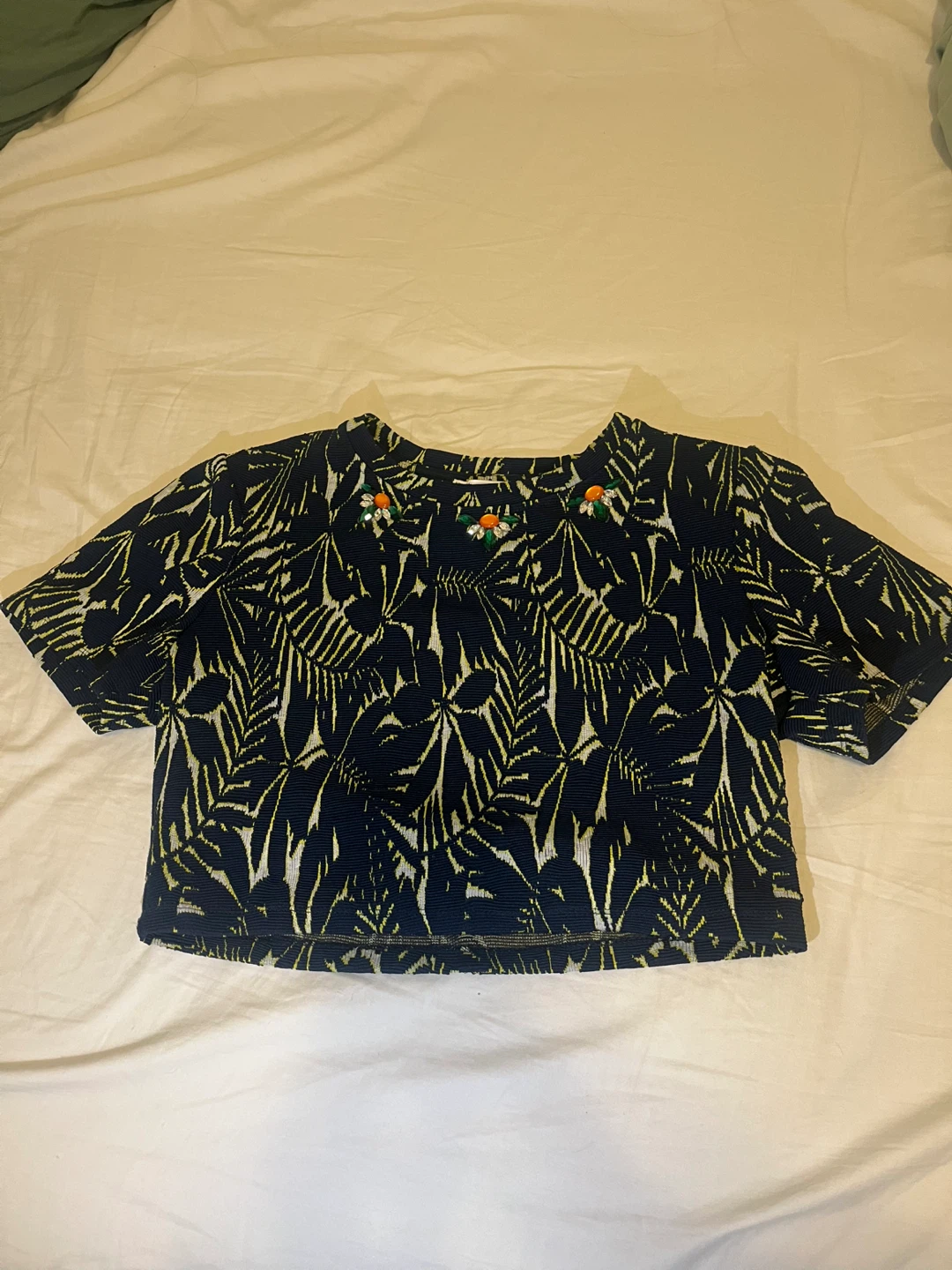 Zara crop top