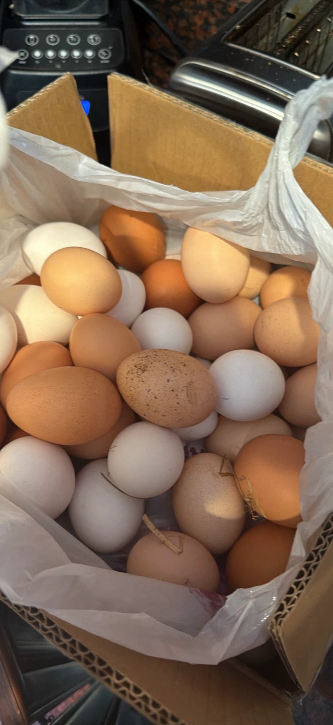 Fresh Farm Eggs
