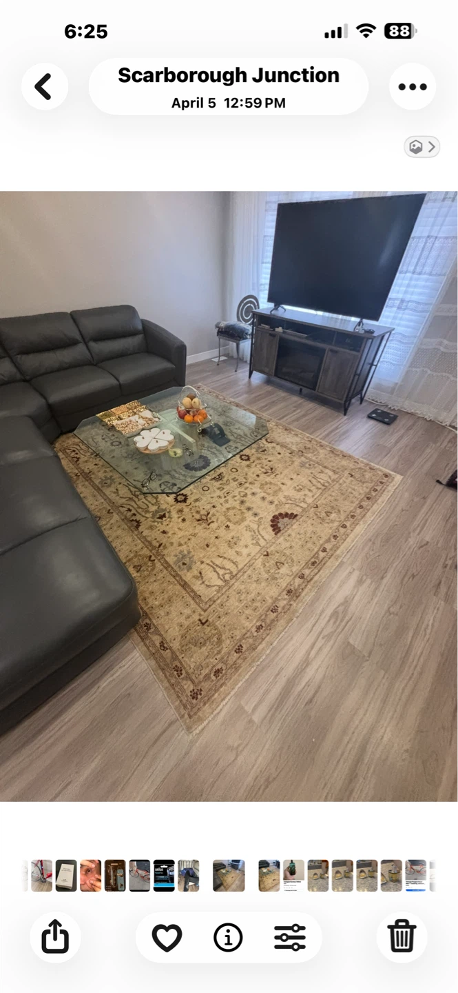Persian Style Area Rug and coffee table - photo 2