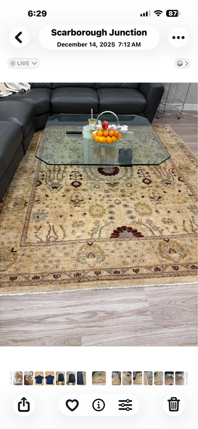 Persian Style Area Rug and coffee table - photo 3