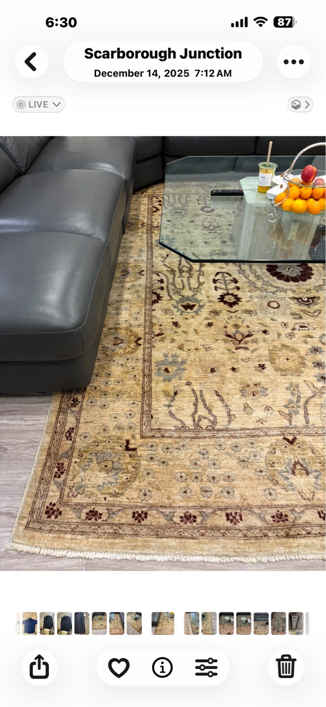 Persian Style Area Rug and coffee table - photo 4