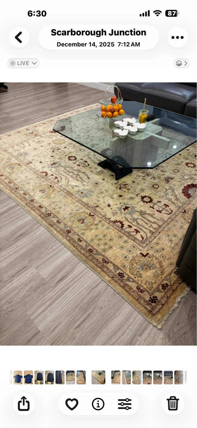 Persian Style Area Rug and coffee table - photo 5
