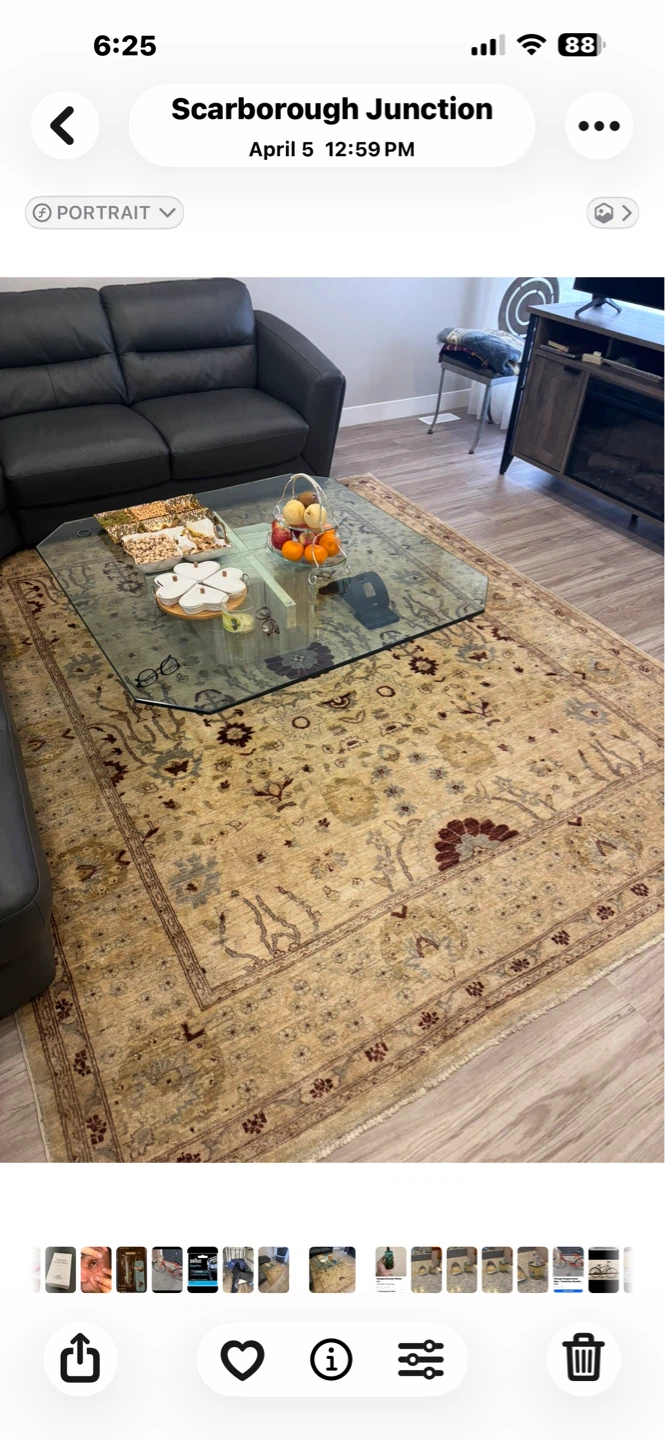 Persian Style Area Rug and coffee table