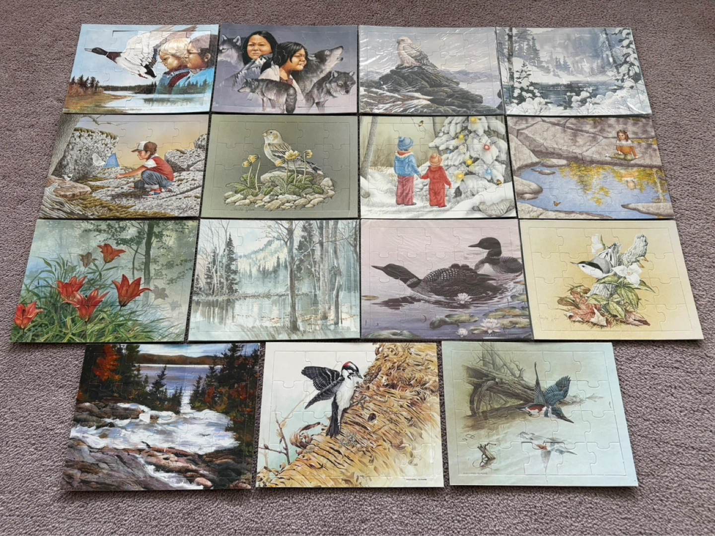 Set of 16 Puzzles - Nature & Wildlife Scenes