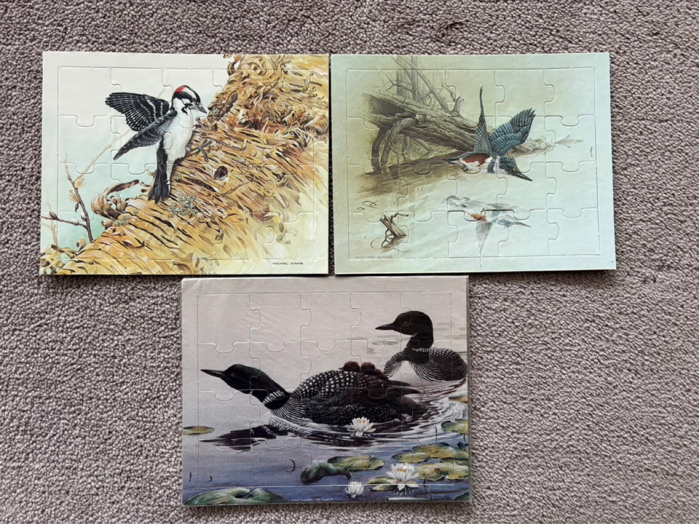 Set of 16 Puzzles - Nature & Wildlife Scenes - photo 4