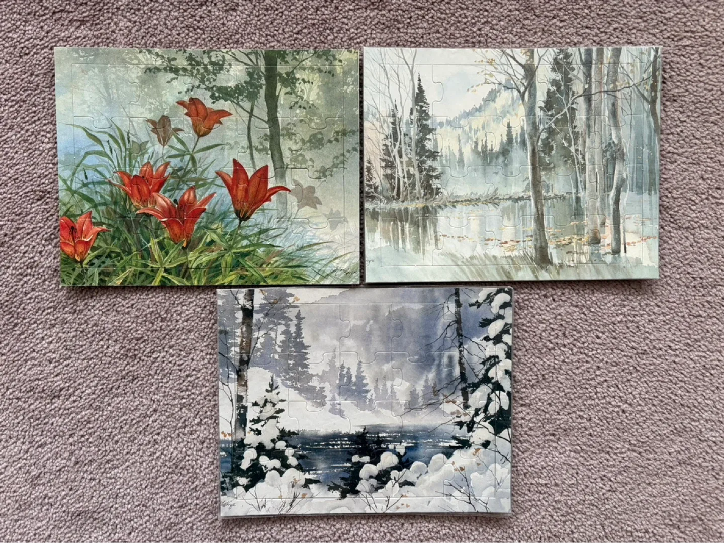 Set of 16 Puzzles - Nature & Wildlife Scenes - photo 2