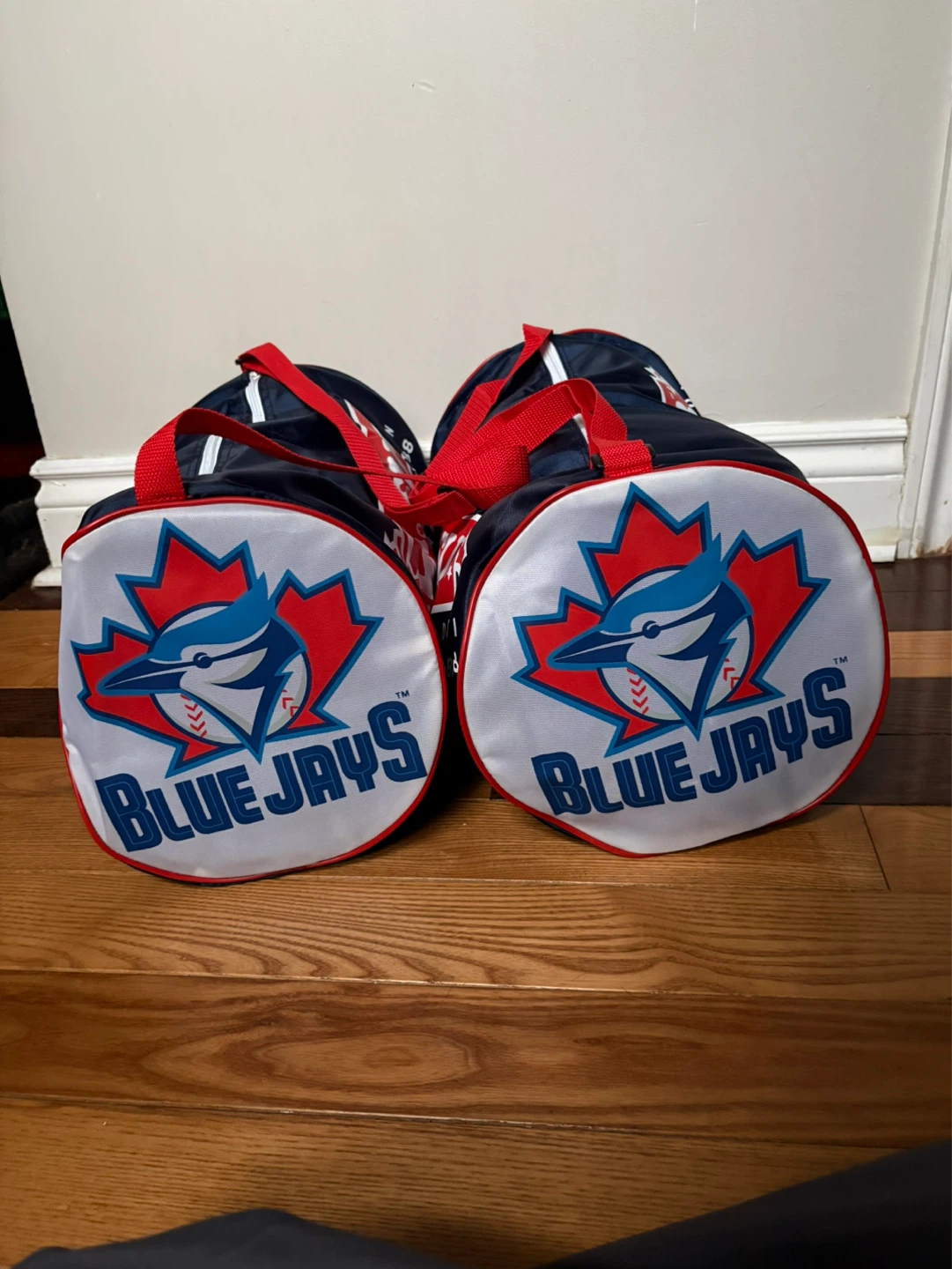 Vintage 1998 Toronto Blue Jays promo duffle bag MLB Mr Sub - photo 5