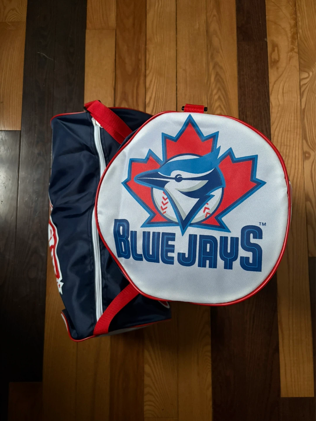 Vintage 1998 Toronto Blue Jays promo duffle bag MLB Mr Sub
