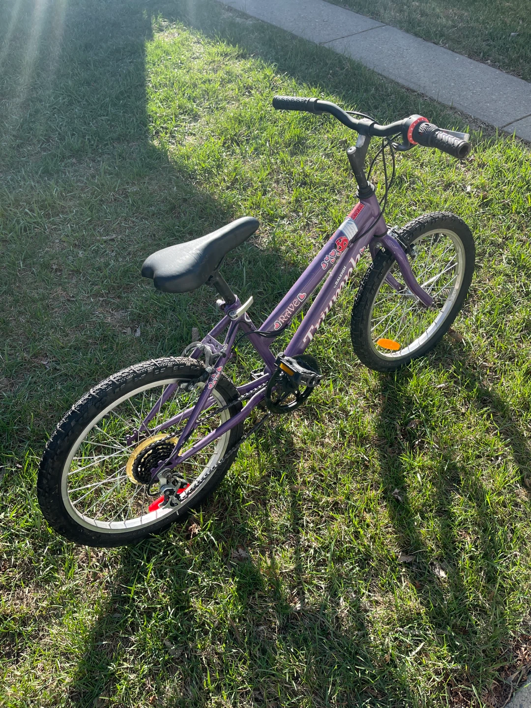 20” Raleigh 6 speed Bike - photo 2