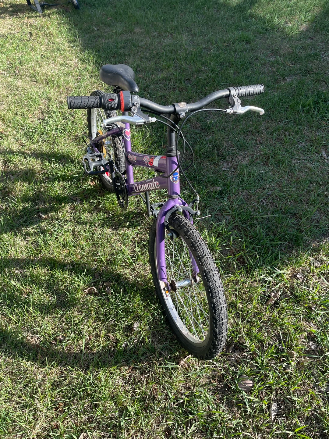 20” Raleigh 6 speed Bike