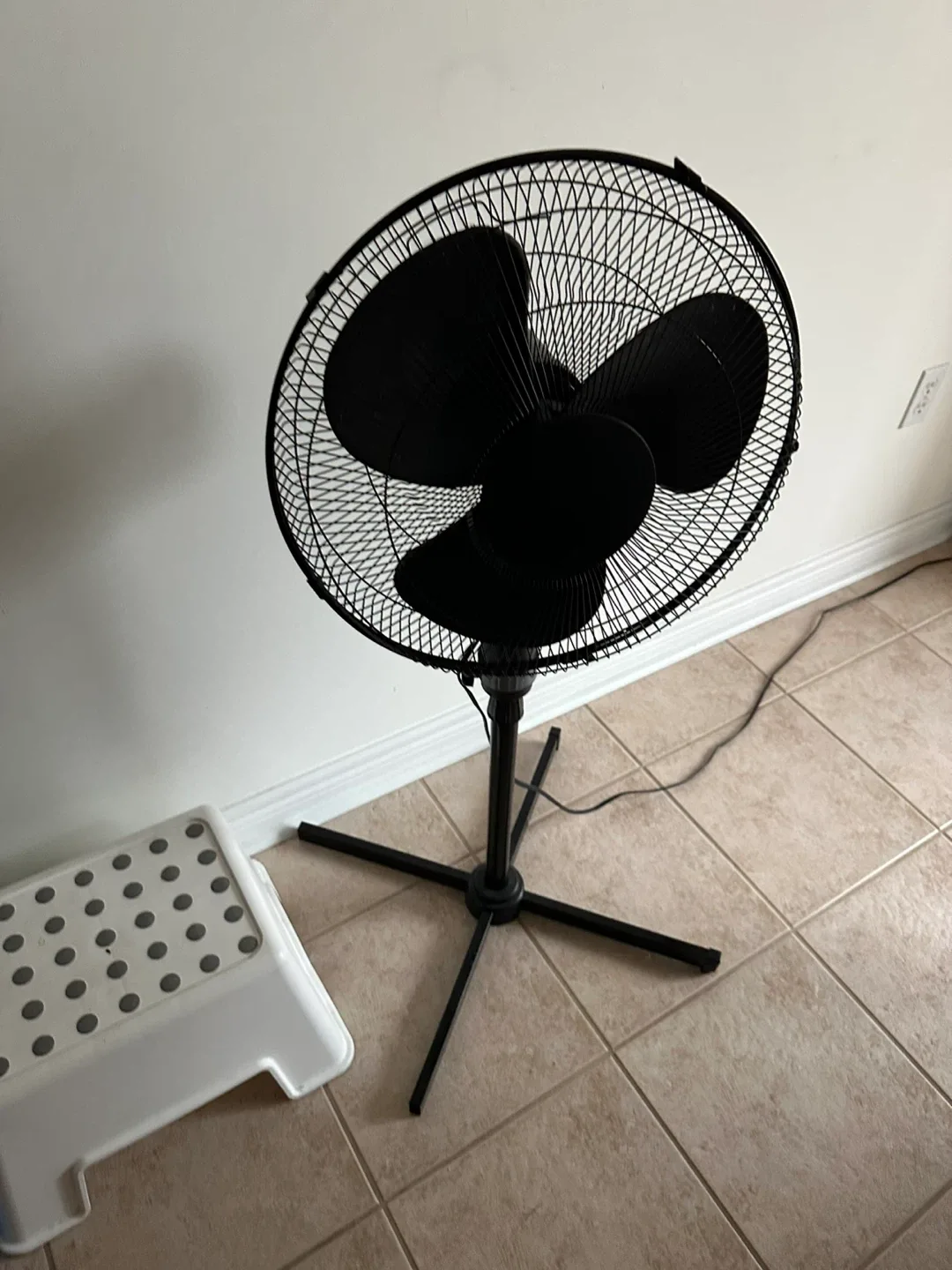 Black Pedestal Fan