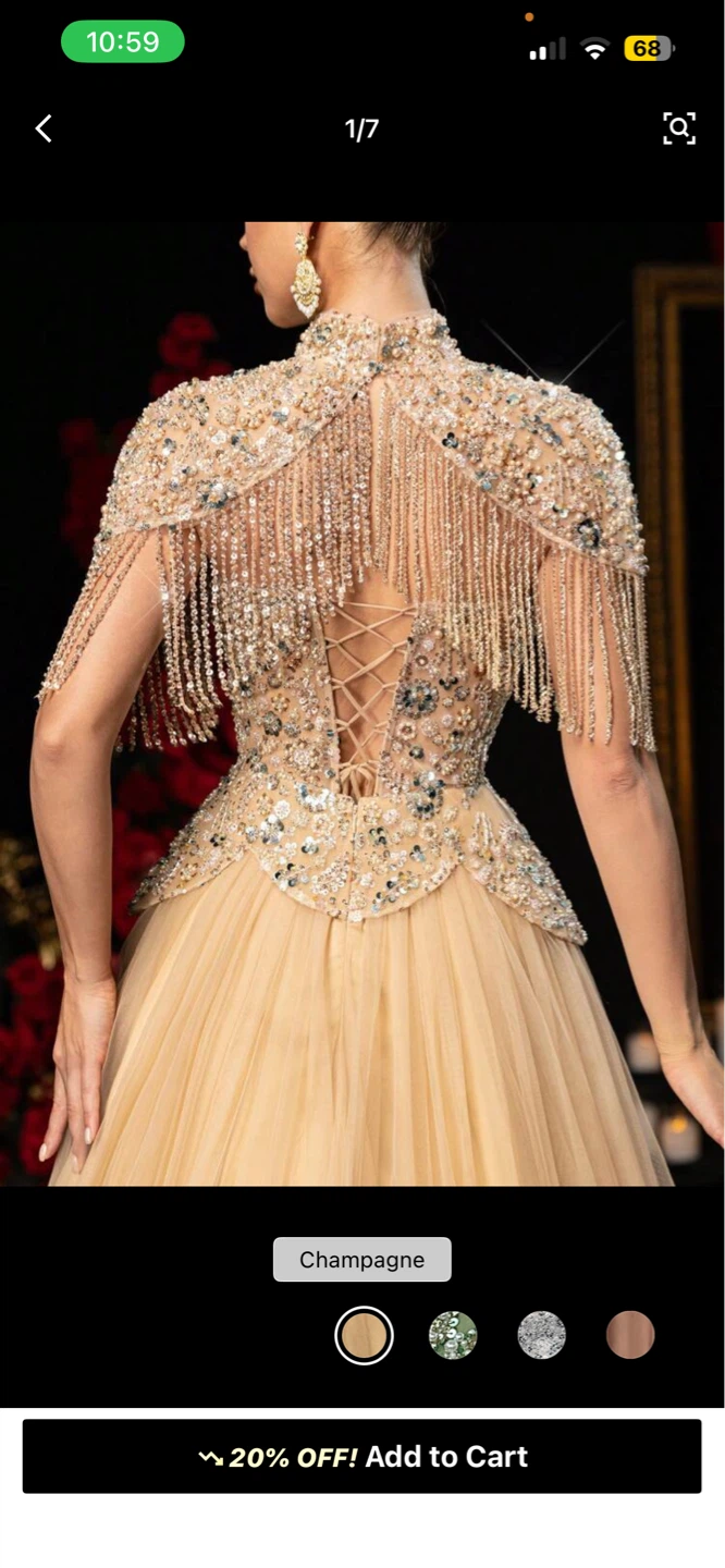 Champagne Beaded Tulle Ball Gown - photo 4