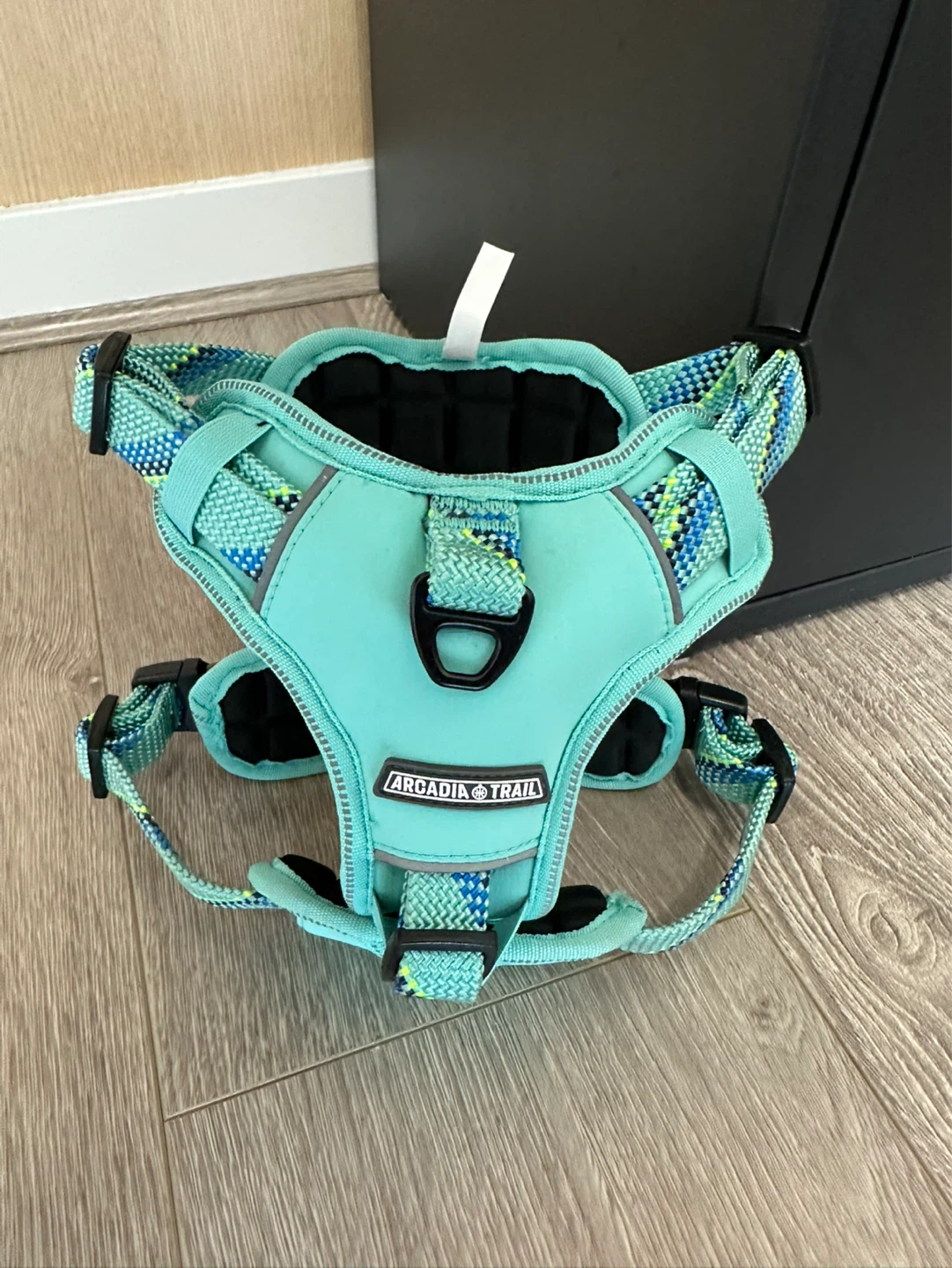 ARCADIA TRAIL Dog Harness - Teal
