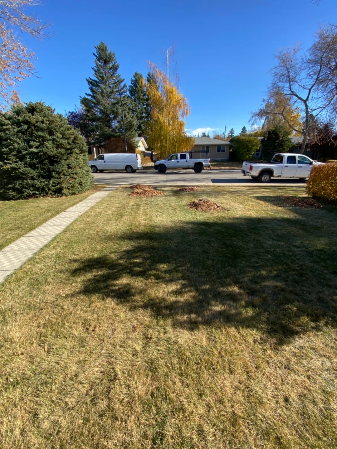 Mr Vickery Landscaping Maintenance Service - photo 3