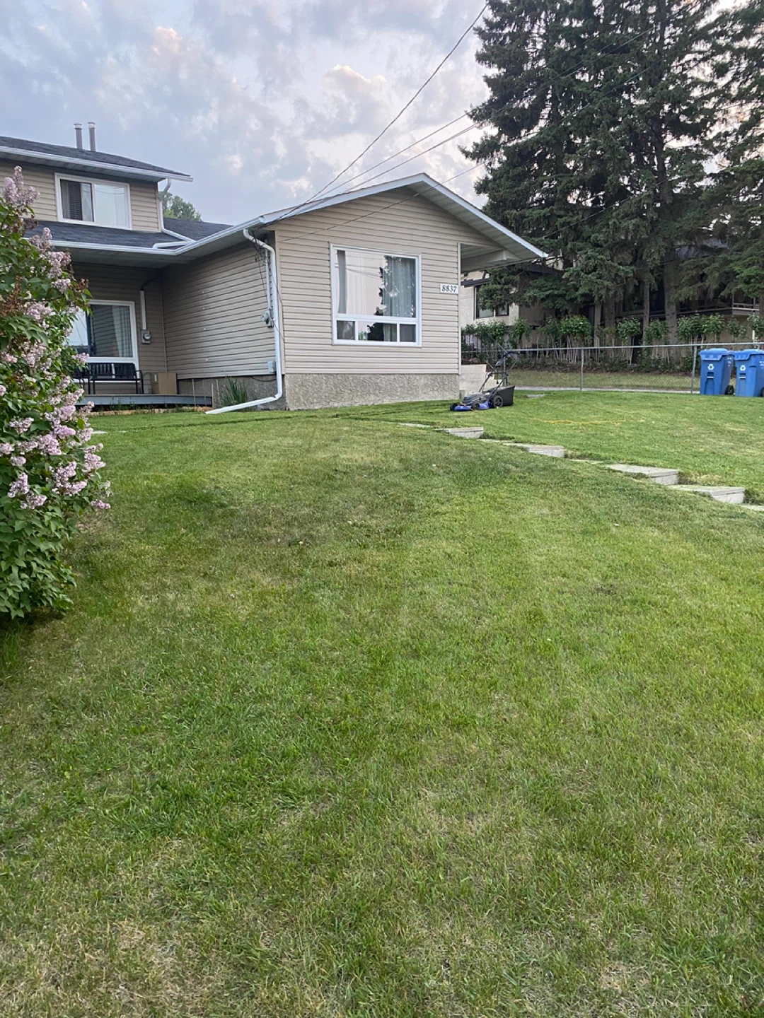 Mr Vickery Landscaping Maintenance Service - photo 4