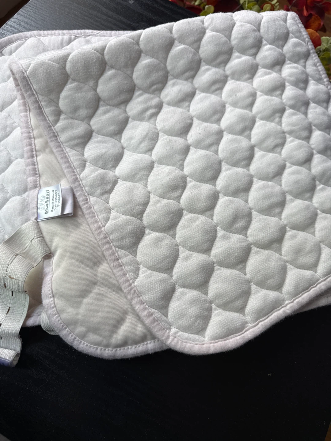BlueSnail Baby Quilted Changing Pad Liner