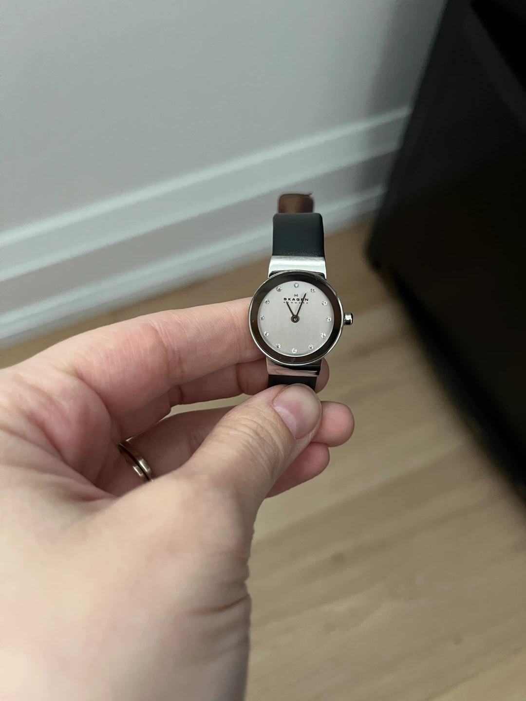 Skagen Women's Watch
