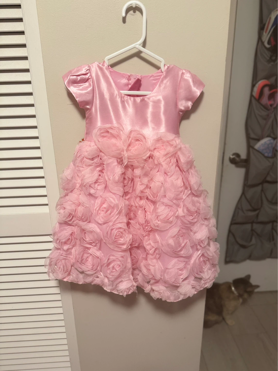 Girls Pink floral dress Size 2-3 years