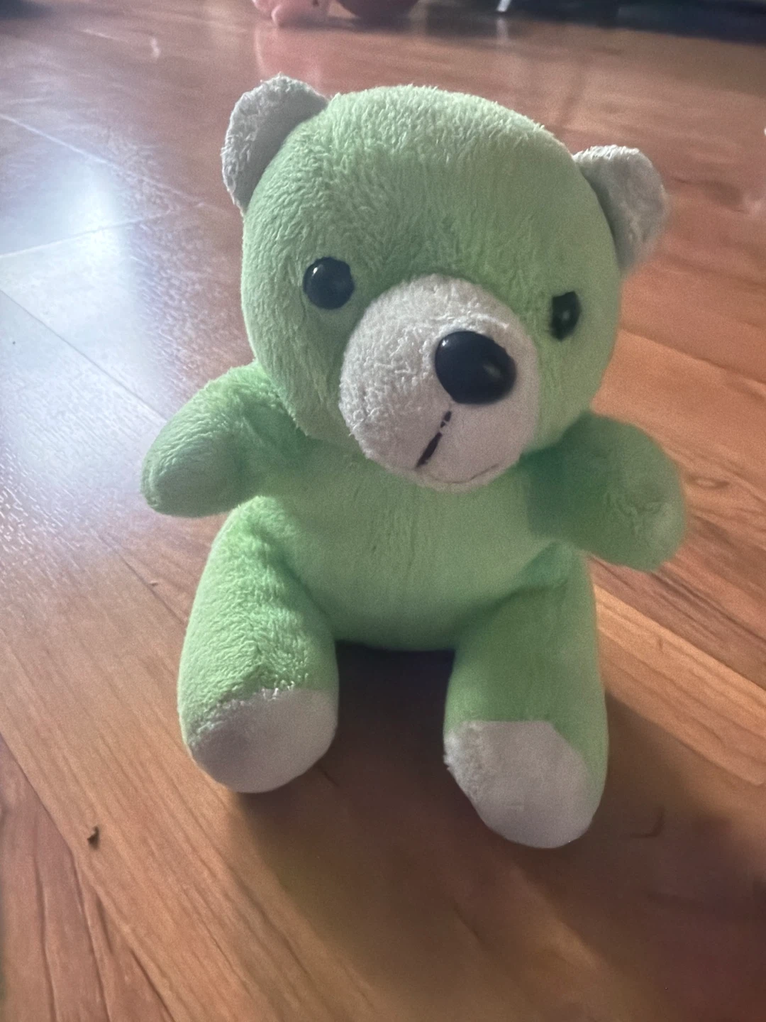 Green Teddy Bear Plush Toy