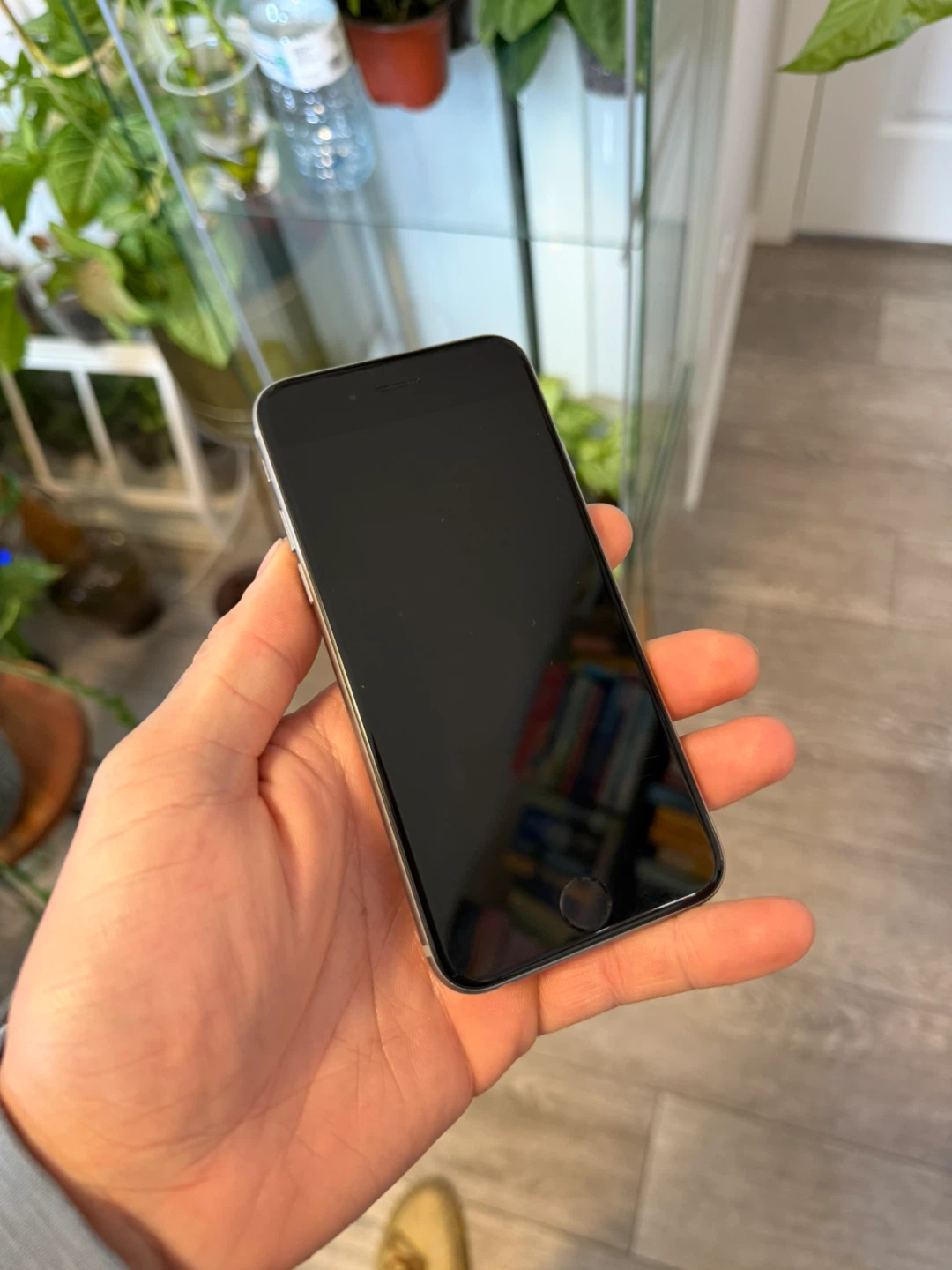 iPhone 6 - photo 2